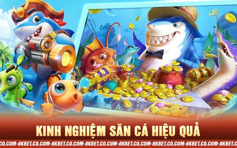 Kinh nghiệm săn cá hiệu quả